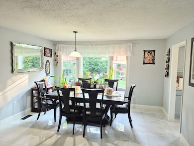 51 Corvette Dr, Chatsworth, GA 30705 - photo 4