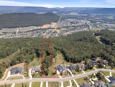 14 Watson Grande Way SE, Owens Cross Roads, AL 35763 - photo 4