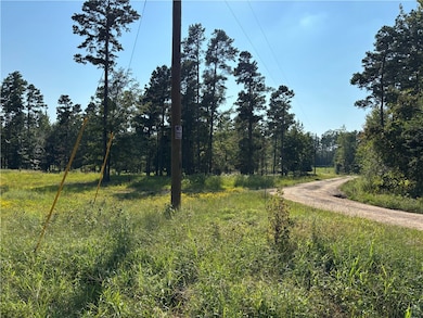 000 Rattlesnake Ln, Pottsville, AR 72858 - photo 3