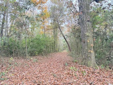 Tbd Union Church Rd unit LotWP001, Magnolia, MS 39652 - photo 5