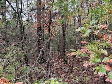 3 Countryside Dr, Dunlap, TN 37327 - photo 4