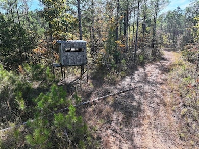 Hugh Gilreath Rd, Woodland, MS 39776 - photo 5