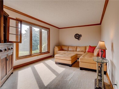 5468 Taylor Rd, Norton, OH 44203 - photo 5