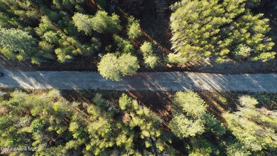 Lot 3 Tequila Way, Athol, ID 83801 - photo 3