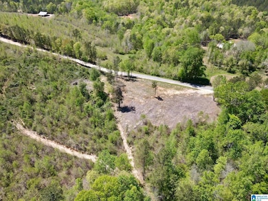 0 Landfill Rd unit 21438392, Ashland, AL 36251 - photo 3