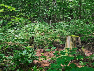 0 Alpendorf Ave, Readsboro, VT 05350 - photo 5