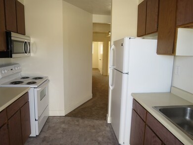 Door enter through a galley style kitchen.