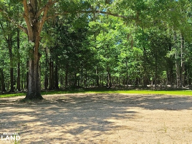 0 Percy Johnson Rd unit 25514018, Benton, AL 36785 - photo 7