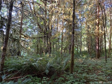 0 Germany Creek Rd unit 1635470, Longview, WA 98632 - photo 6