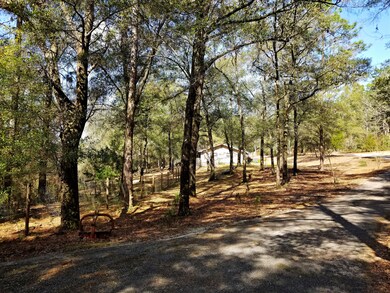House driveway - 723 Adams Dr
