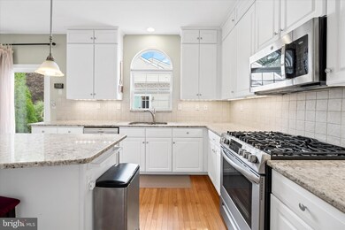 37 Palo Ln, Newark, DE 19702 - photo 7