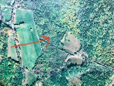 0 New Settlement Rd, Hiram, ME 04041 - photo 3