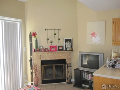 wood burning fireplace