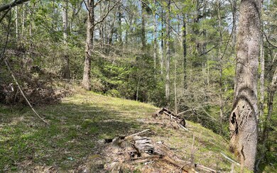 0 Rock Creek Cir unit 320900, Blue Ridge, GA 30513 - photo 3