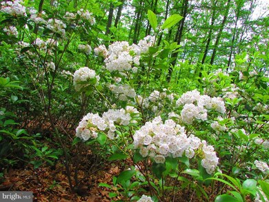 13 Rock Slide Way, Romney, WV 26757 - photo 3