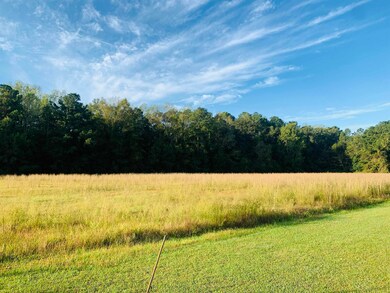 TBD Turkey Run, Havana, FL 32333 - photo 4