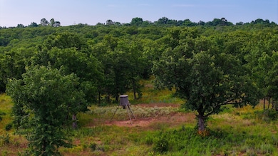 0000 Fm 61, Graham, TX 76450 - photo 3