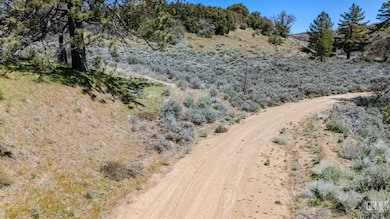 23131 Constance Way, Tehachapi, CA 93561 - photo 4