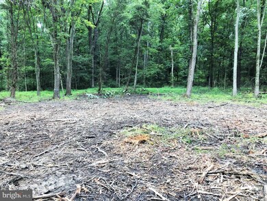 0 Cepp Rd unit 1002144190, Perkiomenville, PA 18074 - photo 7