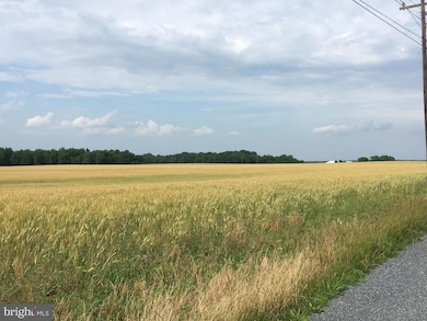 Lot 1 Carroll Clark Rd, Galena, MD 21635 - photo 2