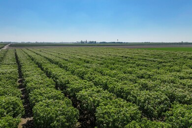 2025-04-28-Schuil-Farms-for-sale-Hanford