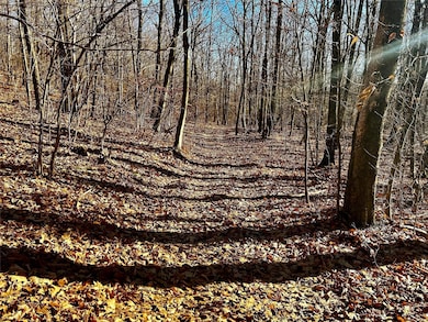 00 Dugway Rd, Austerlitz, NY 12017 - photo 5