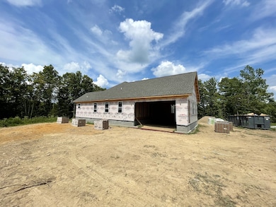 249 Saddlebrook Dr, Hohenwald, TN 38462 - photo 4