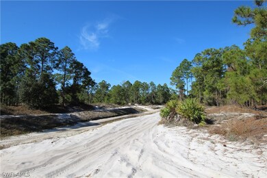 1032 Draper St, Lehigh Acres, FL 33974 - photo 4