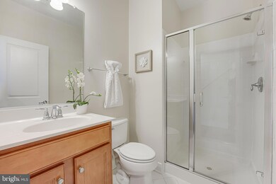 46678 Joubert Terrace, Potomac Falls, VA 20165 - photo 7