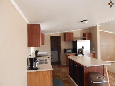 4512 Mimosa St, Carlsbad, NM 88220 - photo 4