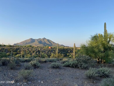 IMG_5267 4