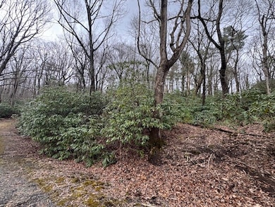 TBD Crooked Creek Ln, Fancy Gap, VA 24328 - photo 2