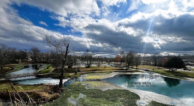 465 S 12th St, Mammoth Spring, MO 72554 - photo 7