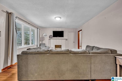 2020 Tishamingo Dr, Birmingham, AL 35217 - photo 6