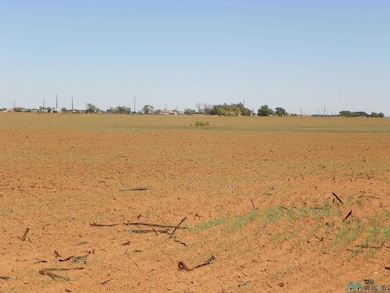 409 Humphrey Rd, Clovis, NM 88101 - photo 3