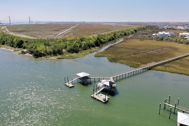 1237 Water View Ln, Daniel Island, SC 29492 - photo 3