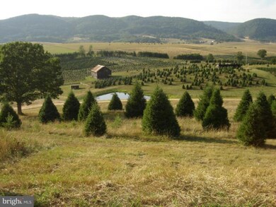 7992 Morgantown Rd, Maysville, WV 26833 - photo 7