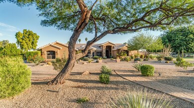 5141 W Cinnabar Ave, Glendale, AZ 85302 - photo 6