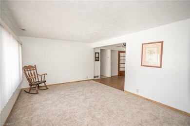 Living room with new carpet