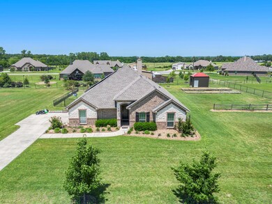 146 Lavender Ln, Springtown, TX 76082 - photo 5