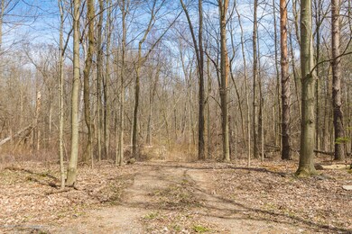 Onondaga_Rd_VACANT_BROCK-4