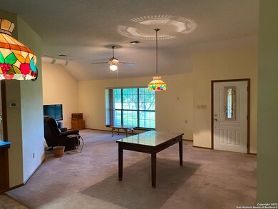 11121 Donkey Flat, Helotes, TX 78023 - photo 3