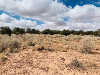 Jarman IMG-7880
