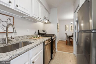 11220 Chestnut Grove Square unit 323, Reston, VA 20190 - photo 7