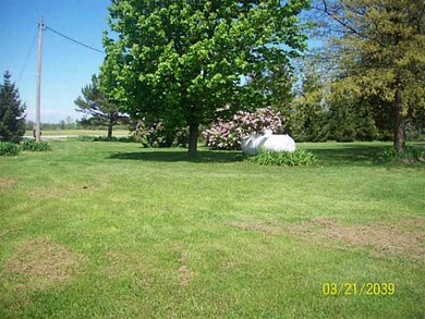 Yard/Garden