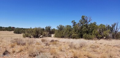 Usuable 5.19 acres