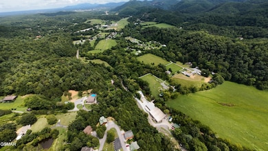 2027 Piney Overlook Ln, Sevierville, TN 37862 - photo 5