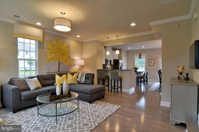 22866 Glacier Lily Dr, Clarksburg, MD 20871 - photo 4