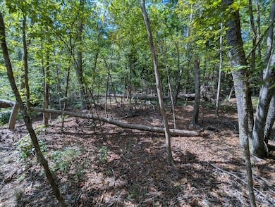 00 Marshall Rd, Appling, GA 30802 - photo 3