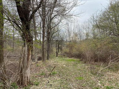 6 Pitcavage Ct, Cobbs Lake Preserve, PA 18436 - photo 3